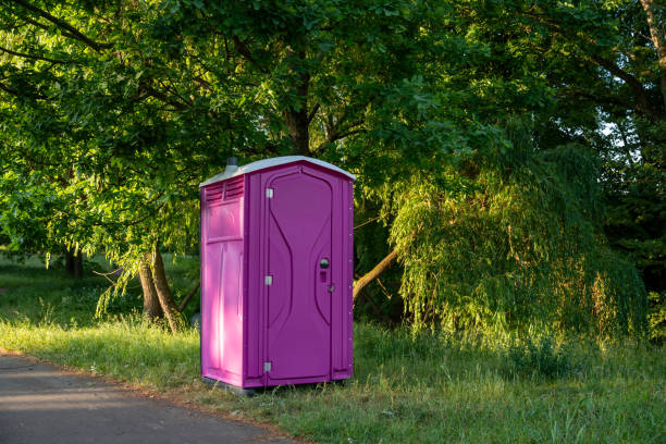 Portable Toilet Options We Offer in Tyler, MN